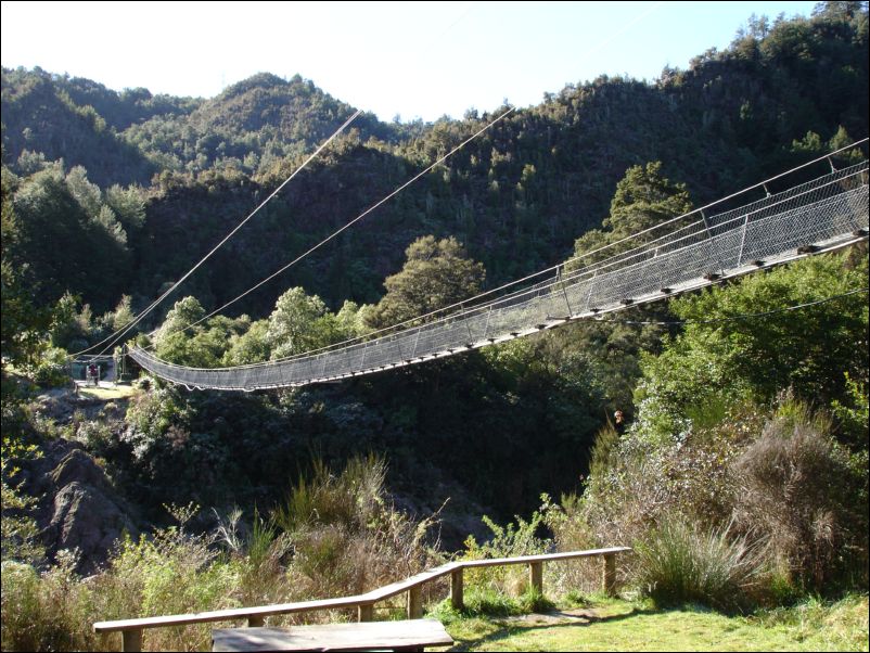 DSC01381_buller george swingbidge